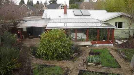 Live a One Earth Lifestyle with These Resources Image